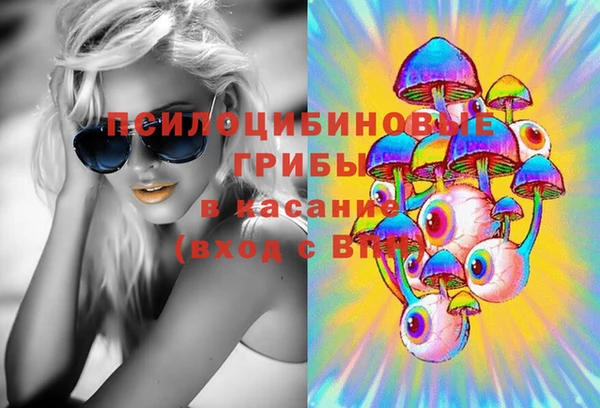 ECSTASY Медвежьегорск