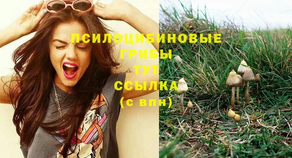 ECSTASY Медвежьегорск